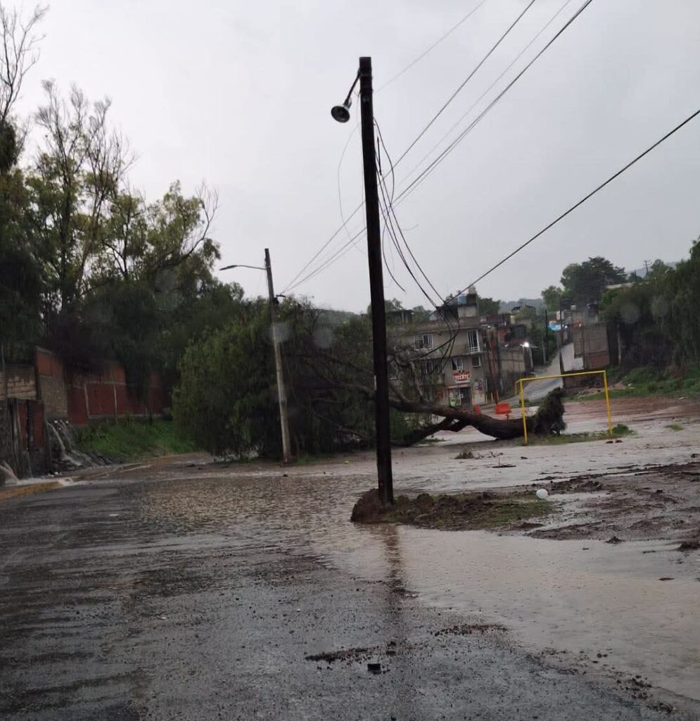 WhatsApp Image 2026-06-19 at 6.20.42 PM